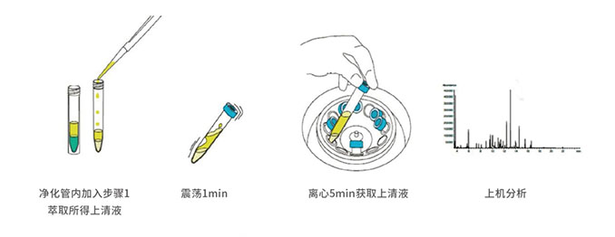 1741077100887063.jpg 未0标题-2.jpg